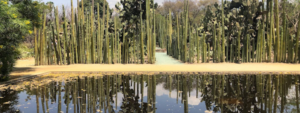Jardín Etnobotánico de Oaxaca Travel Forum Reviews