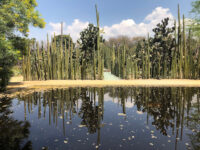 Jardín Etnobotánico de Oaxaca Travel Forum Reviews