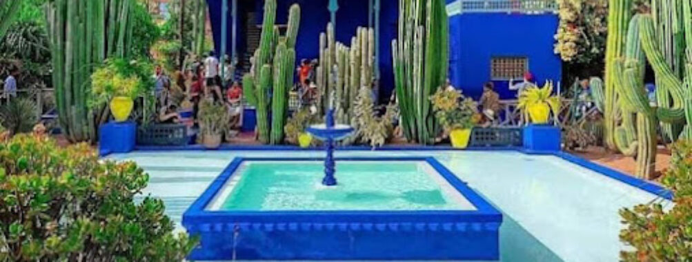 Jardin Majorelle Travel Forum Reviews