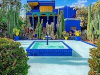 Jardin Majorelle Travel Forum Reviews