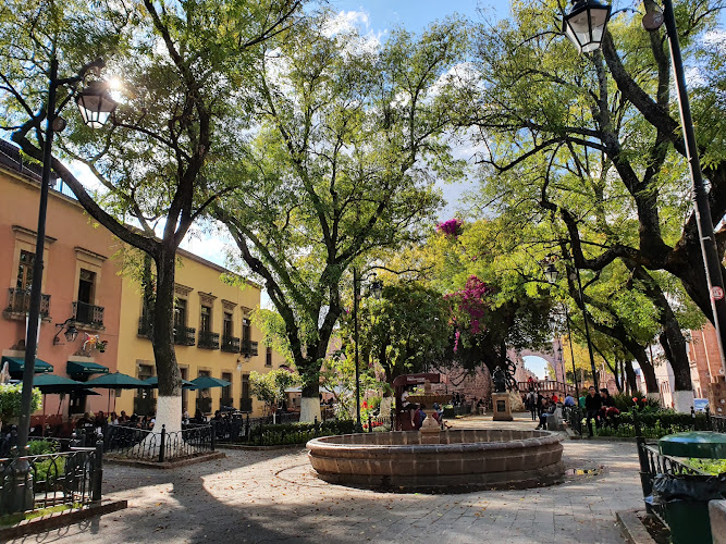 Jardín de las Rosas
