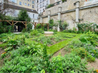 Jardin des Abbesses Travel Forum Reviews