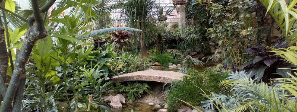 Jardin des Plantes Travel Forum Reviews