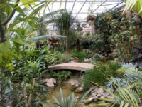 Jardin des Plantes Travel Forum Reviews