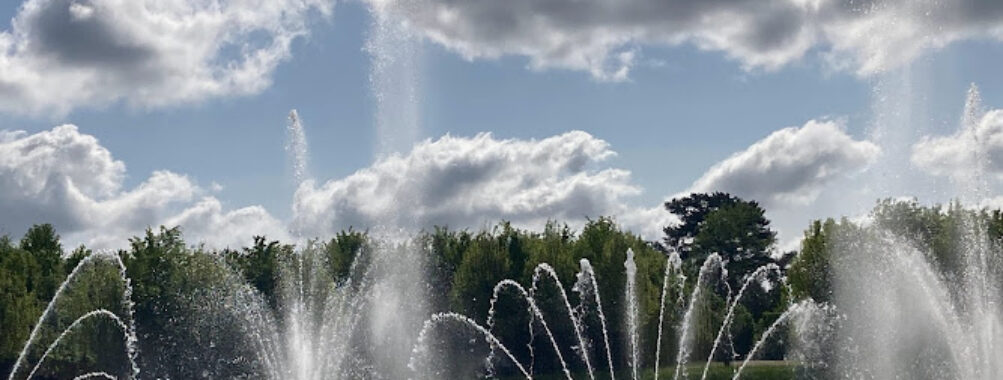 Jardin du Roi Travel Forum Reviews