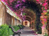 Jardines de Monforte Travel Forum Reviews