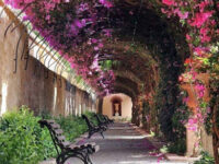 Jardines de Monforte Travel Forum Reviews