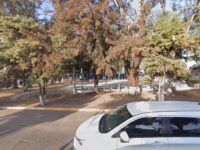 Jardines de Tepa Park Travel Forum Reviews