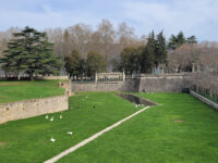 Jardines de la Taconera Travel Forum Reviews