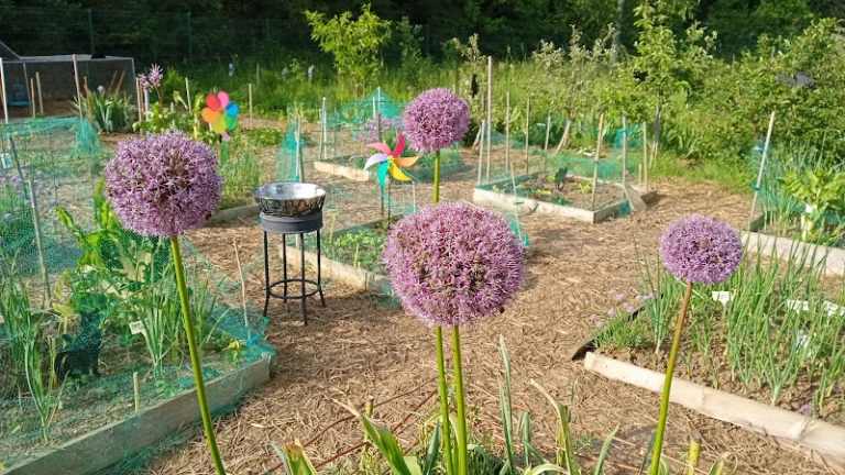Jardins Familiaux