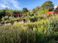 Jardins Passagers Travel Forum Reviews