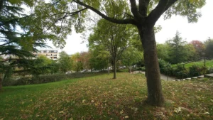 Jardins de la Boissière