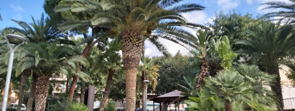 Jardins de la Torre del Roser Travel Forum Reviews