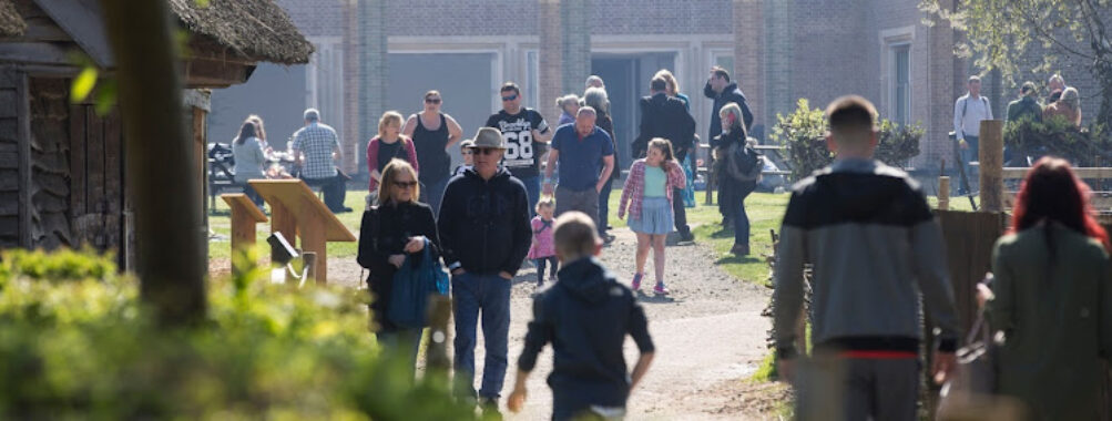 Jarrow Hall: Anglo-Saxon Farm, Village, and Bede Museum Travel Forum Reviews