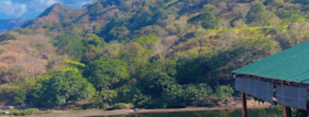 Javier N. Maldonado & Associates, P. C. Travel Forum Reviews