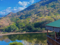 Javier N. Maldonado & Associates, P. C. Travel Forum Reviews