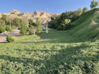 Jebel Hafeet Park Travel Forum Reviews