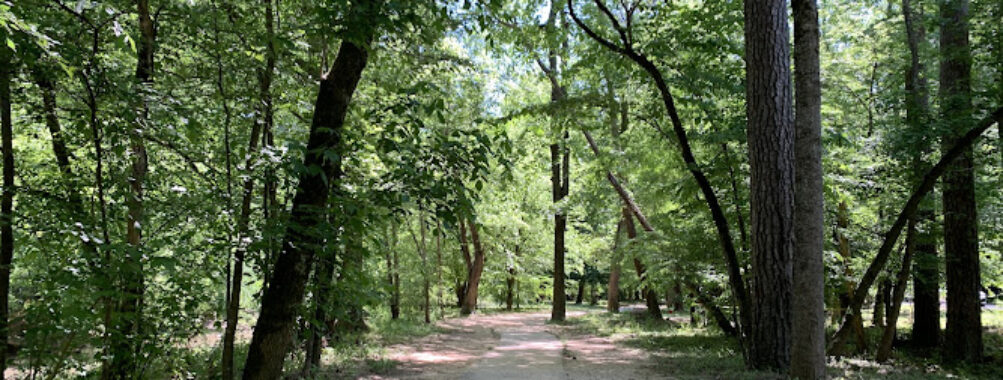 Jemison Park Travel Forum Reviews