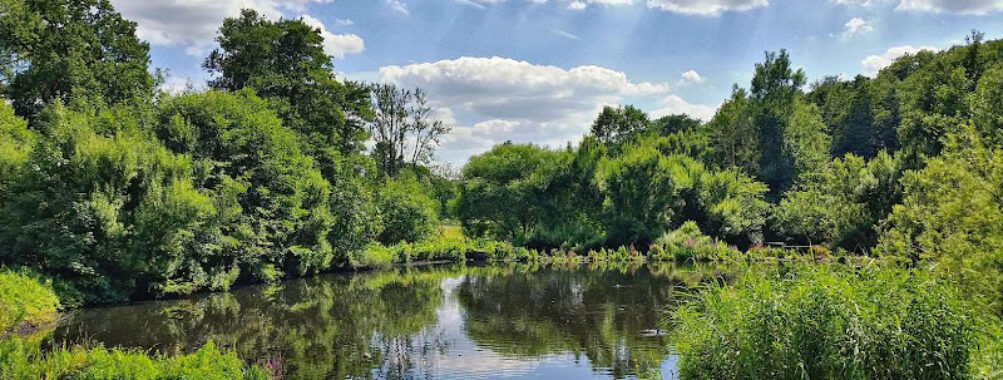 Jenischpark Travel Forum Reviews