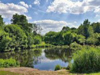 Jenischpark Travel Forum Reviews
