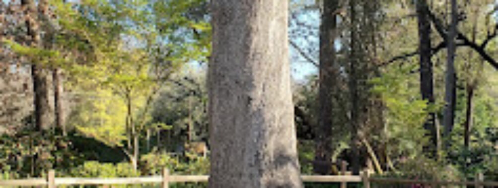 Jensen Botanical Garden Travel Forum Reviews