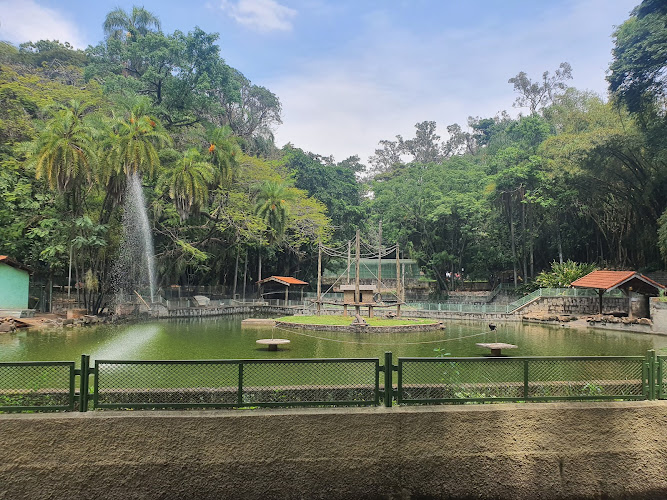 Jequitibá Woods Park