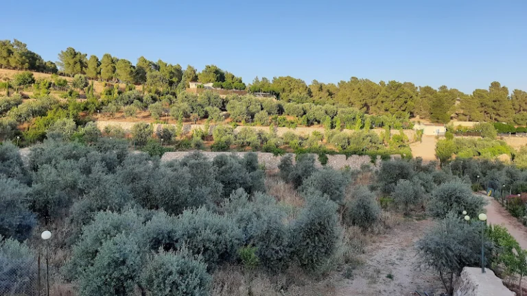 Jerash Hills Farm and Chalets