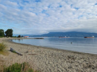 Jericho Beach Park Travel Forum Reviews