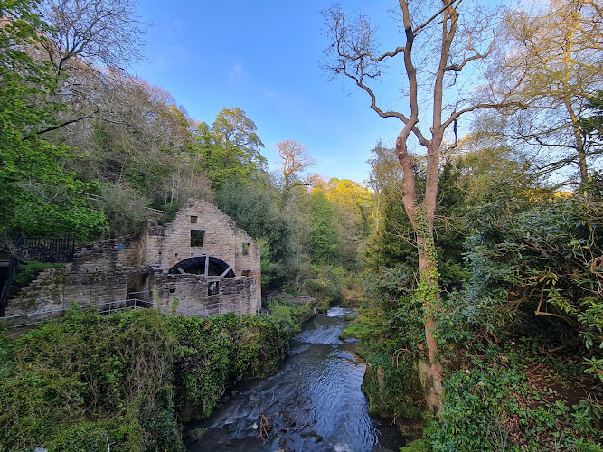 Jesmond Dene