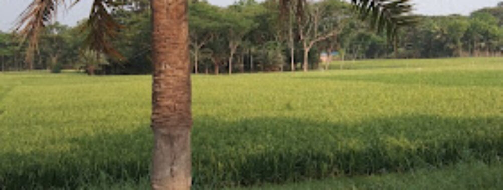 Jessore District Travel Forum Reviews
