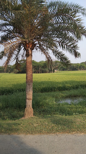 Jessore District