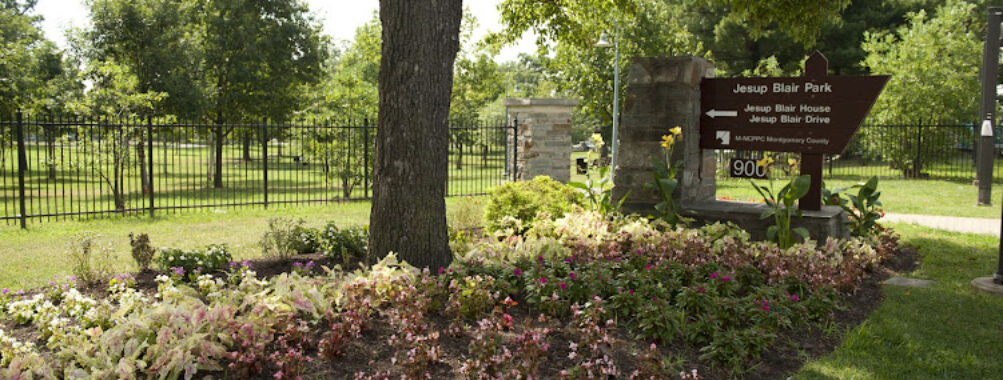 Jesup Blair Park Travel Forum Reviews