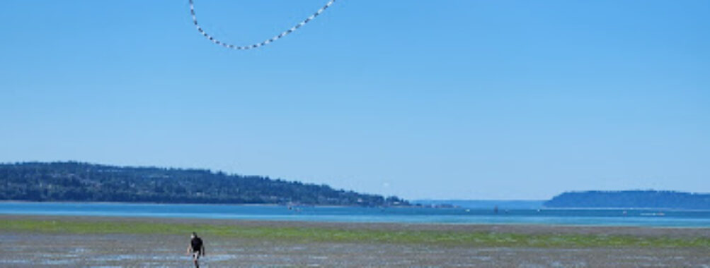 Jetty Island Travel Forum Reviews