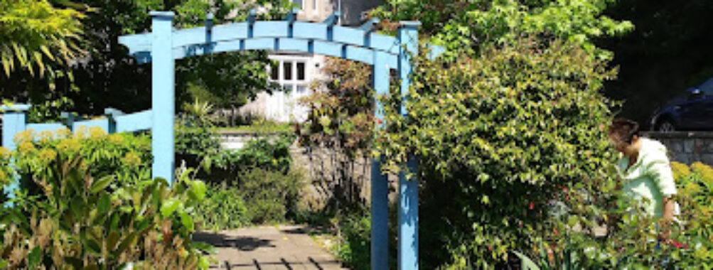 Jill's Garden Travel Forum Reviews