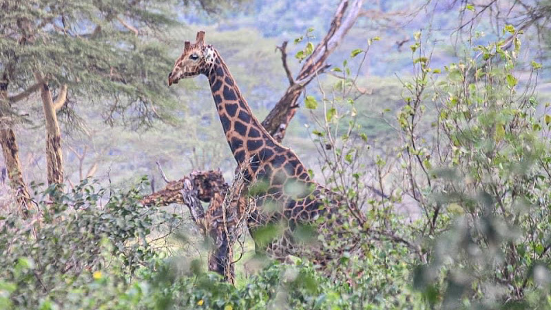 Jinja Tours And Safaris