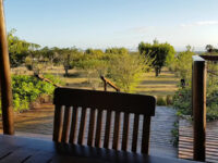 Joffreville Travel Forum Reviews