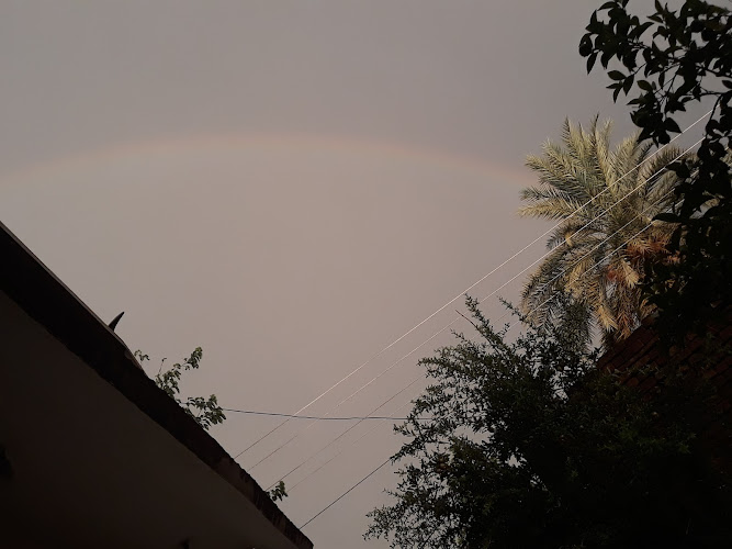 Johar Colony Park