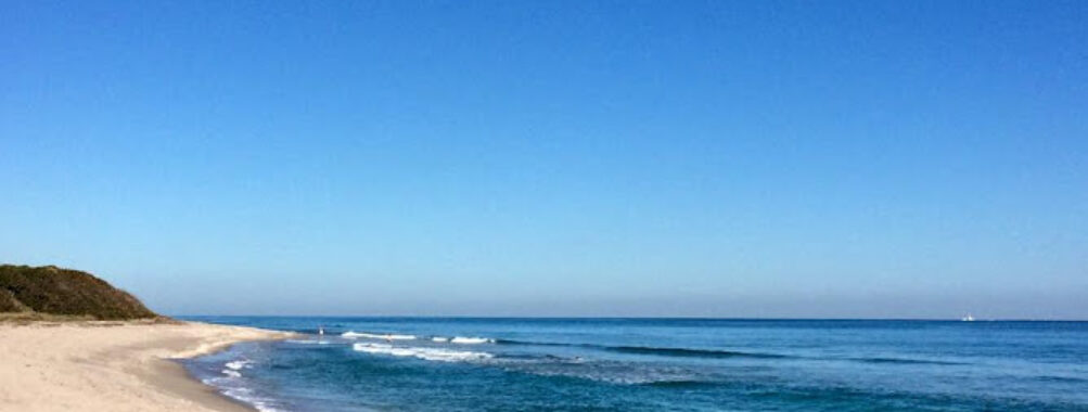 John D. MacArthur Beach State Park Travel Forum Reviews