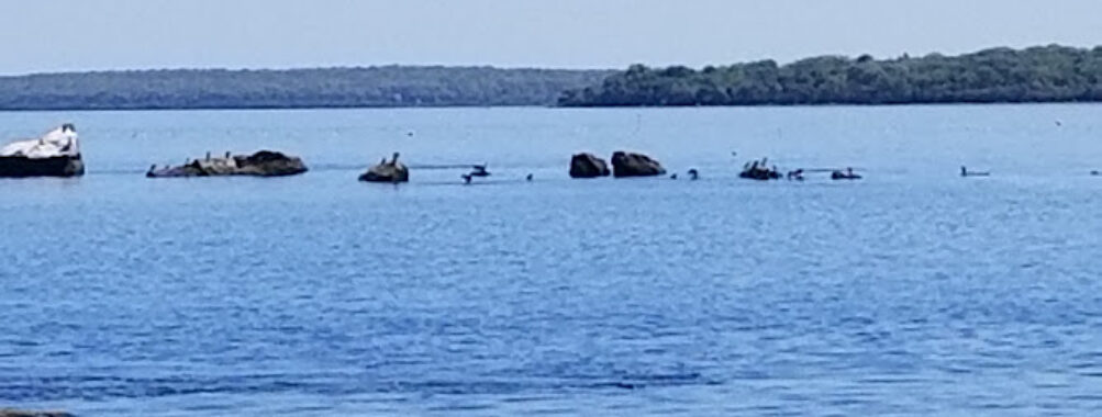 John H. Chafee Rome Point Preserve Travel Forum Reviews
