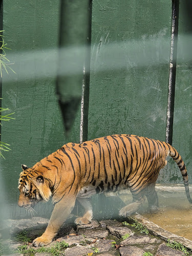 Johor Zoo
