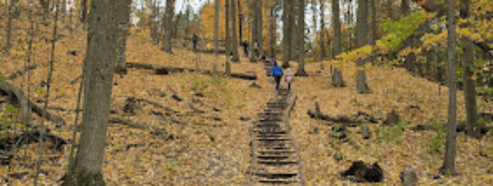 Jokers Hill Travel Forum Reviews