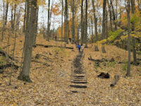 Jokers Hill Travel Forum Reviews