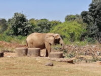 Jos Wildlife Park Travel Forum Reviews