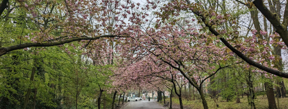 Josaphat Park Travel Forum Reviews