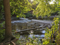 Joseph Wolfond Park East Travel Forum Reviews