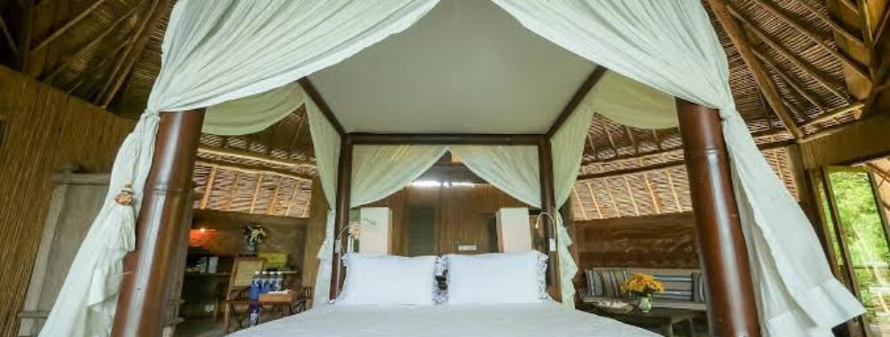 Joyo Resort Travel Forum Reviews