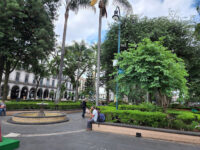 Juárez Park Travel Forum Reviews