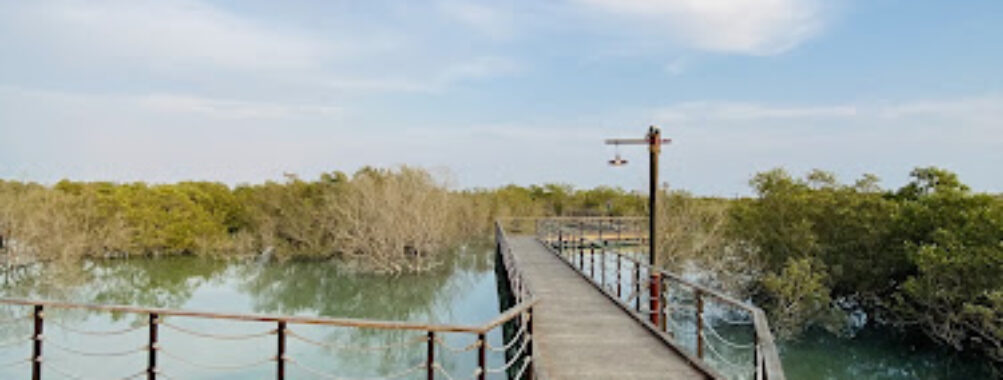 Jubail Mangrove Park Travel Forum Reviews
