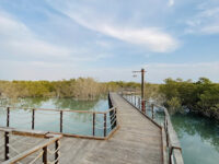 Jubail Mangrove Park Travel Forum Reviews
