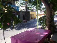 Juchitán JC Travel Forum Reviews